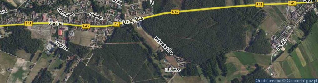 Zdjęcie satelitarne Kol. Dziedzice ul.