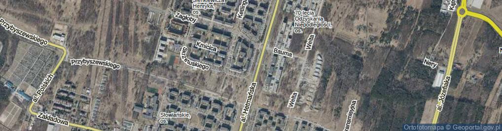 Zdjęcie satelitarne Kowalskiego Rocha ul.