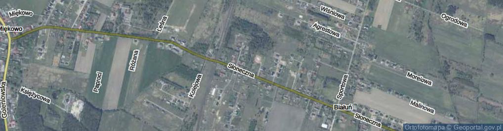 Zdjęcie satelitarne Krótka ul.