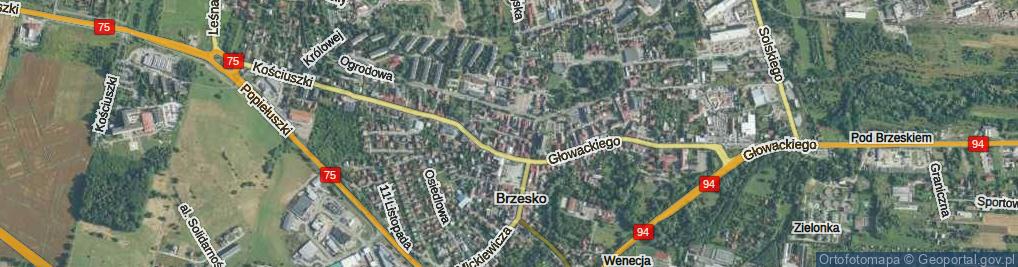 Zdjęcie satelitarne Króla Jana III Sobieskiego ul.