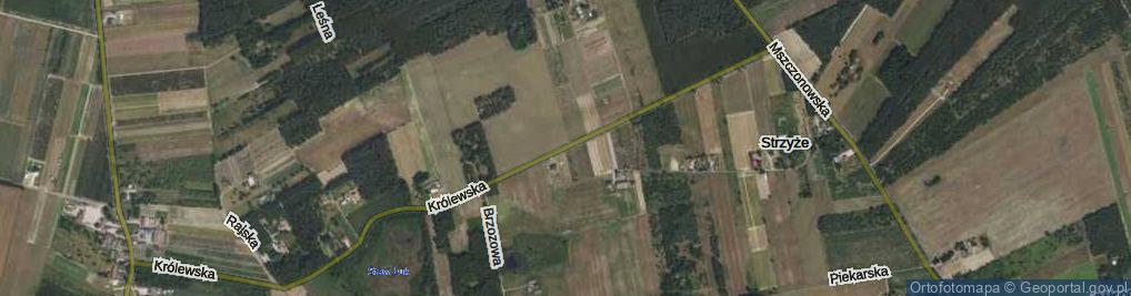 Zdjęcie satelitarne Królewska ul.
