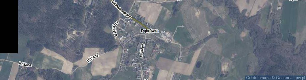 Zdjęcie satelitarne Krótka ul.