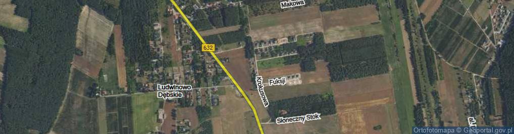 Zdjęcie satelitarne Krokusowa ul.