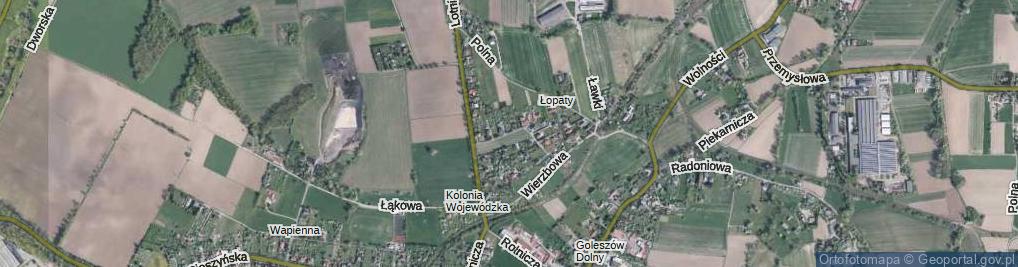 Zdjęcie satelitarne Krzywa ul.