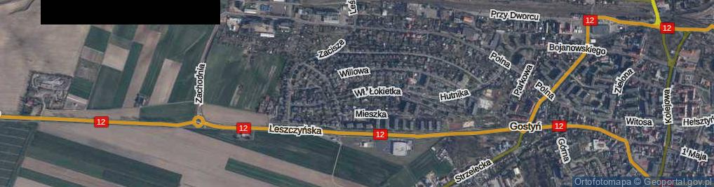 Zdjęcie satelitarne Króla Władysława Łokietka ul.