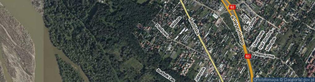 Zdjęcie satelitarne Krzywa ul.