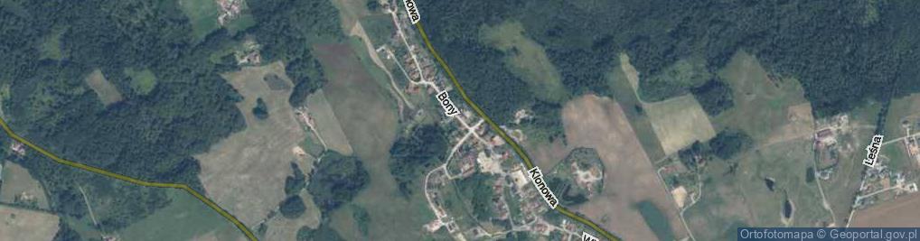 Zdjęcie satelitarne Królowej Bony ul.
