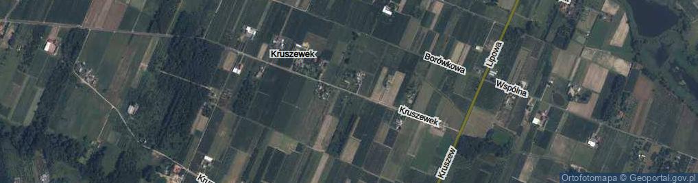 Zdjęcie satelitarne Kruszewek ul.