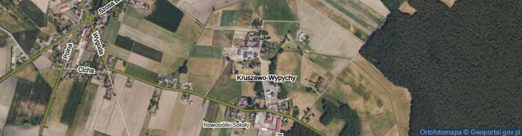 Zdjęcie satelitarne Kruszewo-Wypychy ul.