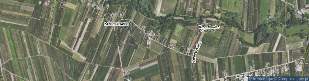 Zdjęcie satelitarne Krzeczkowice ul.