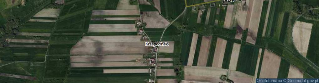 Zdjęcie satelitarne Krzepocinek ul.