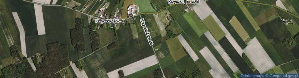 Zdjęcie satelitarne Krzyczki-Żabiczki ul.