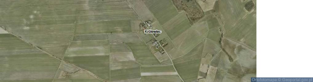 Zdjęcie satelitarne Królewiec ul.