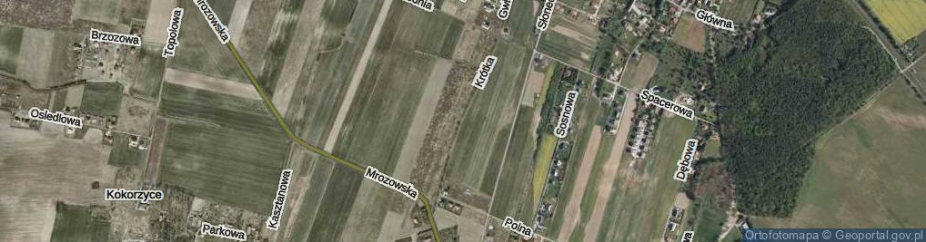 Zdjęcie satelitarne Krótka ul.