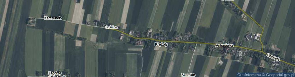 Zdjęcie satelitarne Krężoły ul.