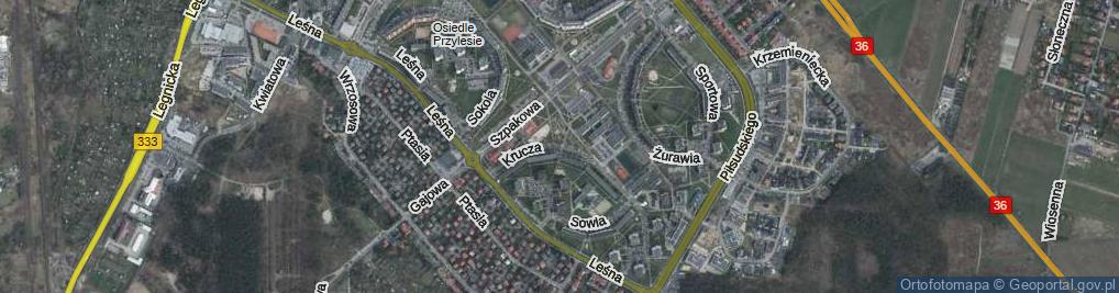 Zdjęcie satelitarne Krucza ul.