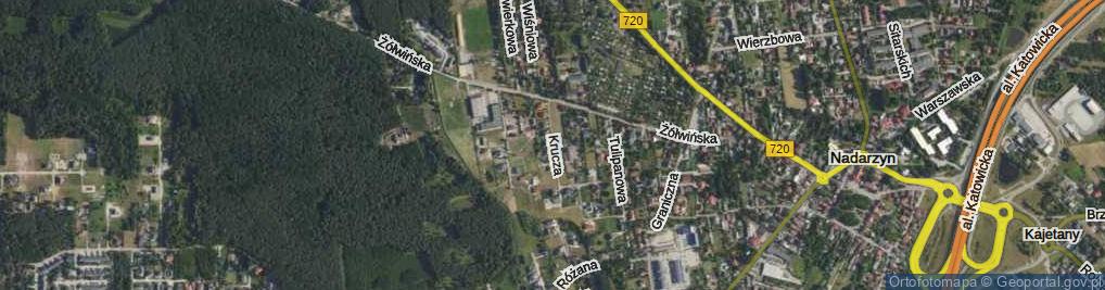 Zdjęcie satelitarne Krucza ul.