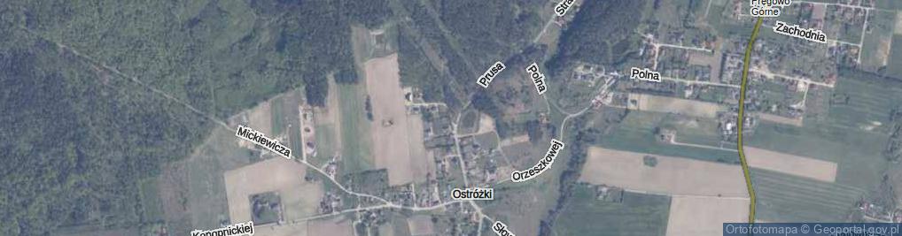 Zdjęcie satelitarne Krasickiego Ignacego, bp. ul.