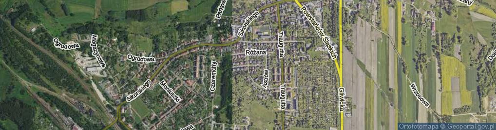 Zdjęcie satelitarne Krokusów ul.