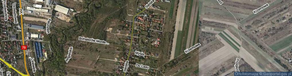 Zdjęcie satelitarne Królika ul.