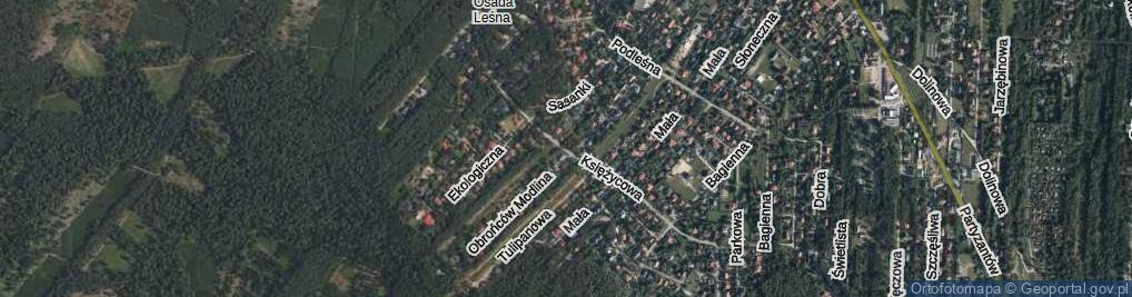 Zdjęcie satelitarne Księżycowa ul.