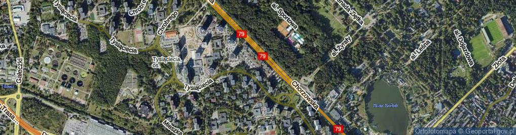 Zdjęcie satelitarne Księcia Henryka Brodatego ul.