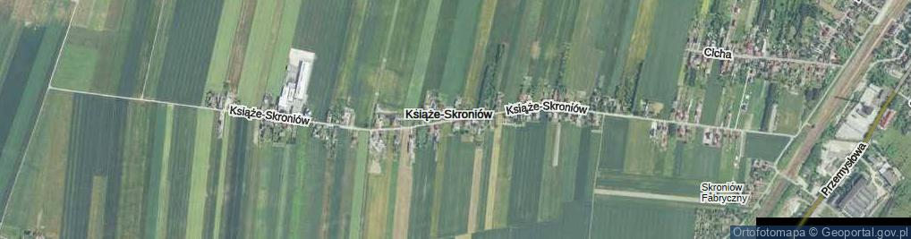 Zdjęcie satelitarne Książe-Skroniów ul.