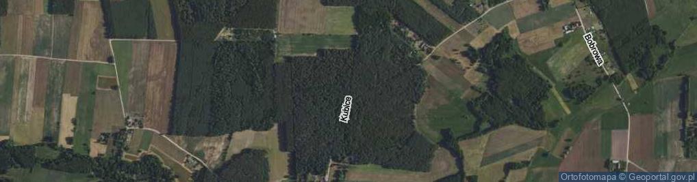 Zdjęcie satelitarne Kubice ul.