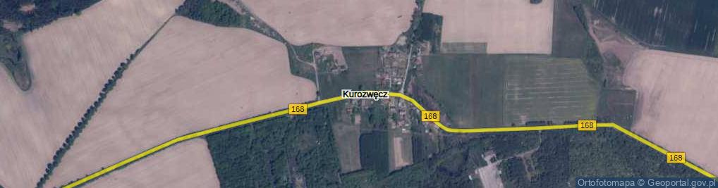 Zdjęcie satelitarne Kurozwęcz ul.