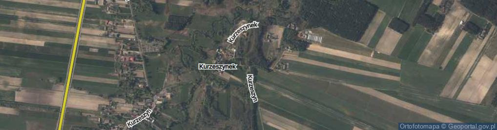 Zdjęcie satelitarne Kurzeszynek ul.