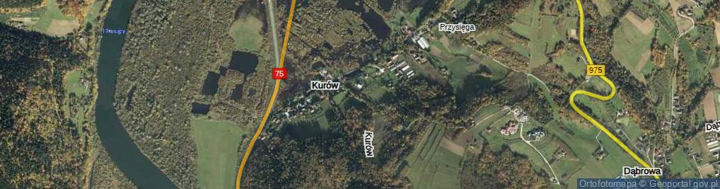 Zdjęcie satelitarne Kurów ul.