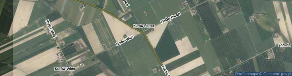 Zdjęcie satelitarne Kurów-Parcel ul.