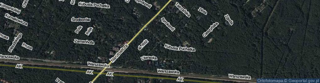 Zdjęcie satelitarne Kubusia Puchatka ul.