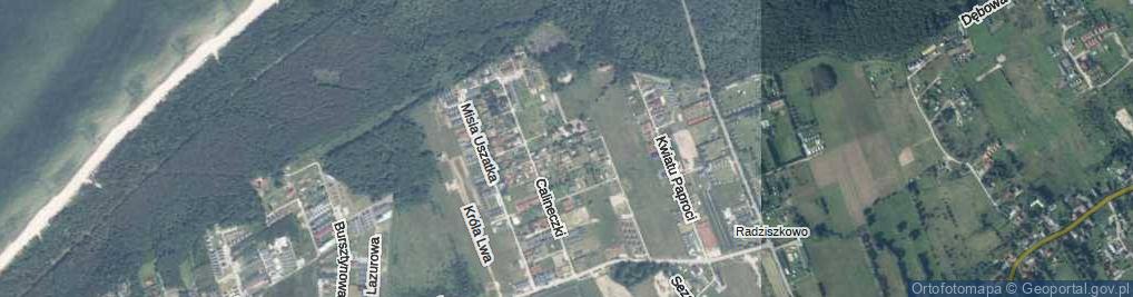 Zdjęcie satelitarne Kubusia Puchatka ul.