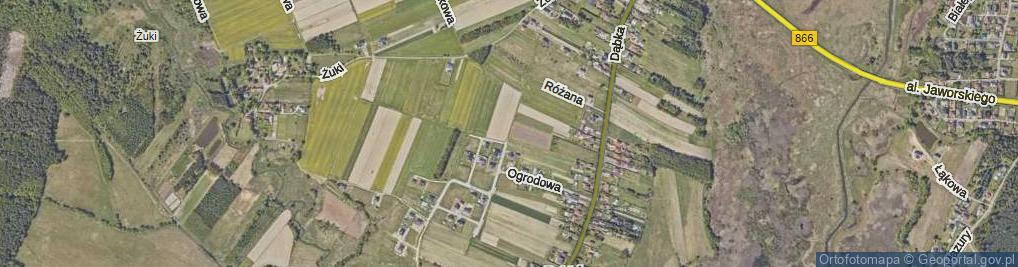 Zdjęcie satelitarne Kwiatów Polnych ul.