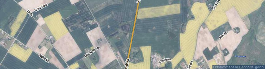 Zdjęcie satelitarne Kwidzyńska ul.