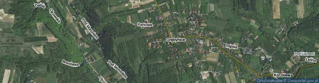Zdjęcie satelitarne Kwitnących Sadów ul.