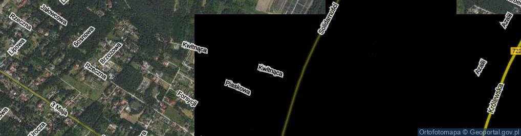 Zdjęcie satelitarne Kwitnąca ul.