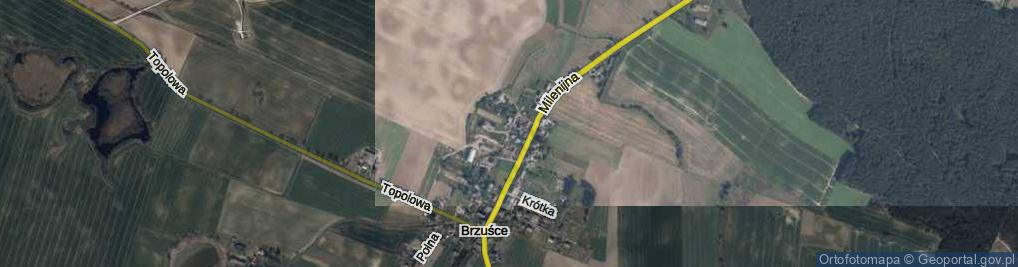 Zdjęcie satelitarne Łąkowa ul.