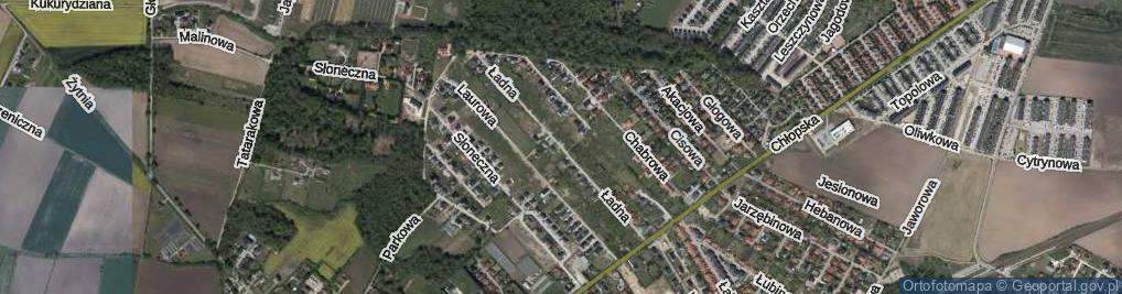 Zdjęcie satelitarne Ładna ul.