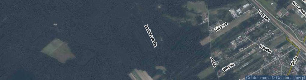 Zdjęcie satelitarne Łaskarzewska ul.