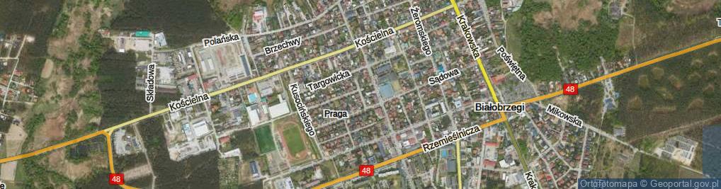 Zdjęcie satelitarne Leśna ul.