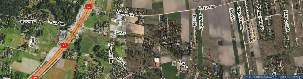 Zdjęcie satelitarne Leśna ul.