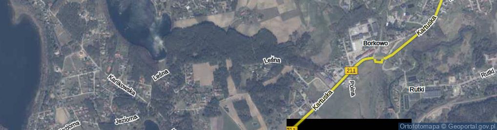 Zdjęcie satelitarne Leśna ul.