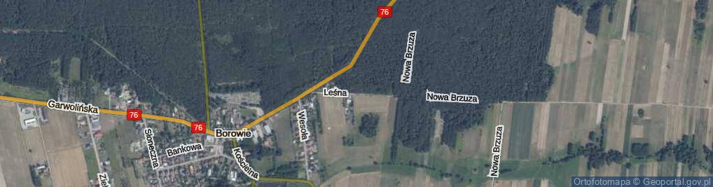 Zdjęcie satelitarne Leśna ul.