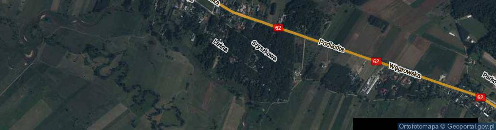 Zdjęcie satelitarne Leśna ul.