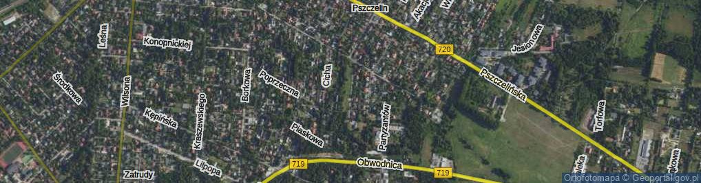 Zdjęcie satelitarne Leśnej Polany ul.