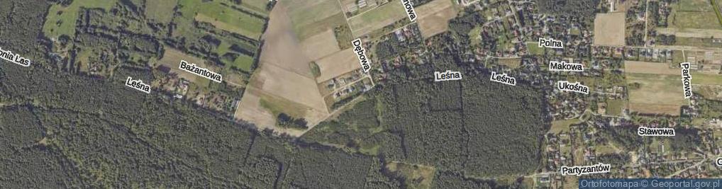 Zdjęcie satelitarne Leśna ul.