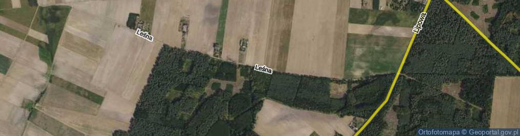 Zdjęcie satelitarne Leśna ul.