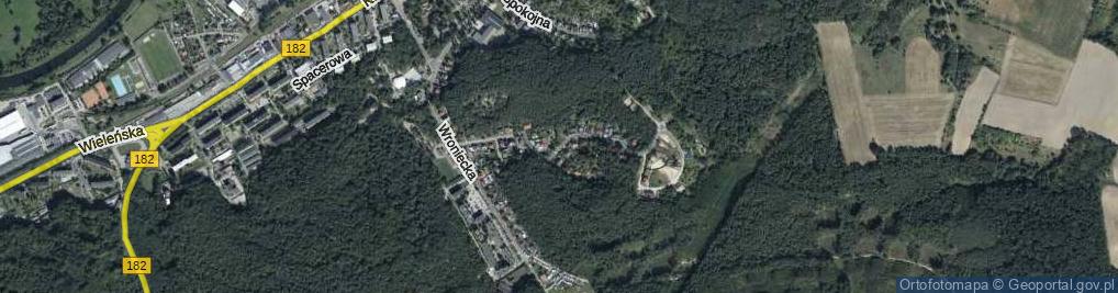 Zdjęcie satelitarne Leśna ul.